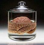 brain-in-a-jar.jpg