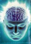 Cerebrito. brain.jpg