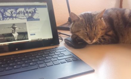 La internet de los gatos